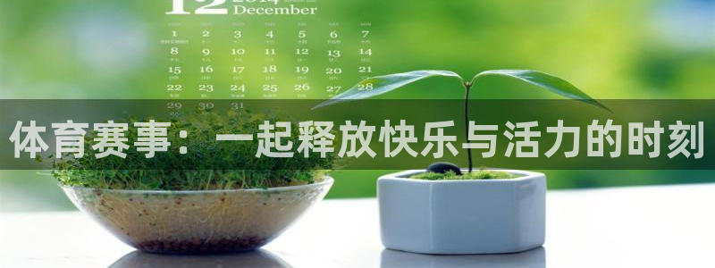 米兰体育场：体育赛事：一起释放快乐与活力的时刻