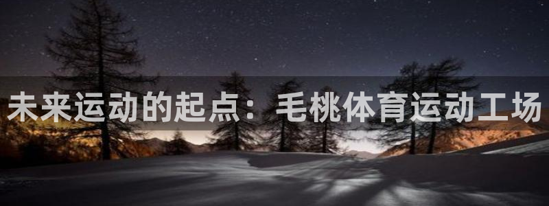 米兰体育app下载：未来运动的起点：毛桃体育运动工场