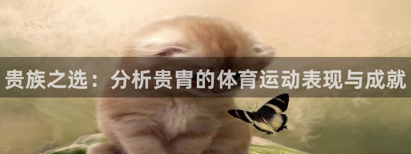 米兰体育下载官网最新版：贵族之选：分析贵胄的体育运动表现与成就