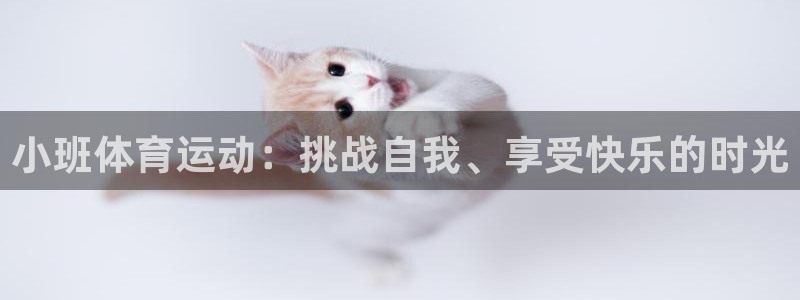 米兰体育网站：小班体育运动：挑战自我、享受快乐的时光