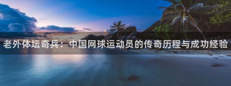米兰体育场：老外体坛奇兵：中国网球运动员的传奇历程与成功经验