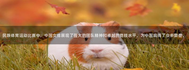 米兰体育下载：民族体育运动比赛中，中国女排展现了强大的团队精神和卓越的竞技水平，为中国赢得了众多荣誉。