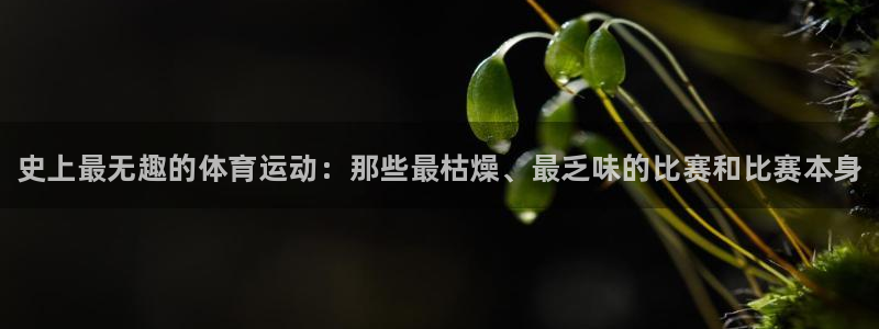 米兰体育报官网：史上最无趣的体育运动：那些最枯燥、最乏味的比赛和比赛本身