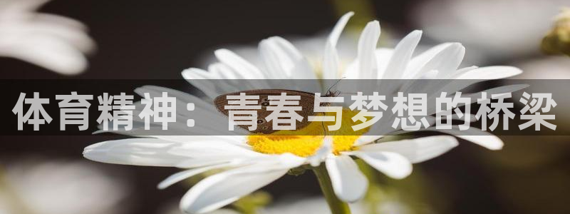 米兰体育中心：体育精神：青春与梦想的桥梁