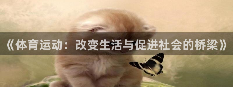 米兰体育靠谱吗：《体育运动：改变生活与促进社会的桥梁》