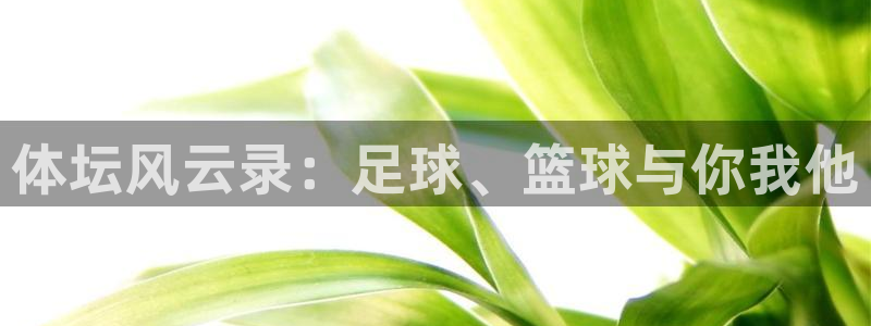 米兰体育app下载：体坛风云录：足球、篮球与你我他