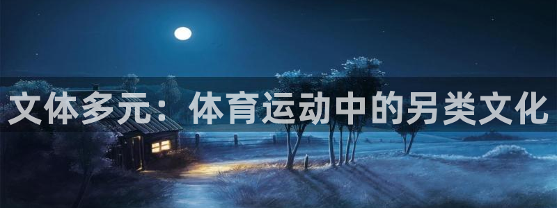 米兰体育场：文体多元：体育运动中的另类文化