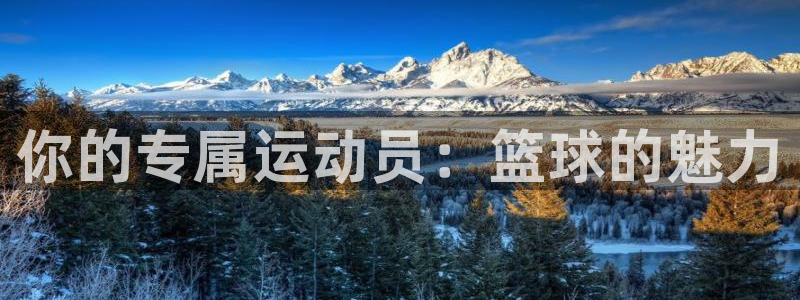 米兰体育官网：你的专属运动员：篮球的魅力