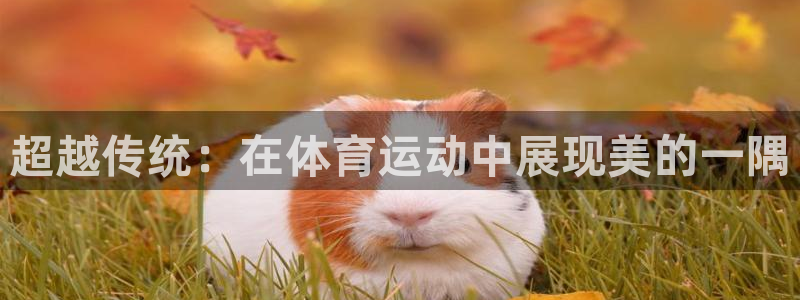 米兰体育网页版：超越传统：在体育运动中展现美的一隅