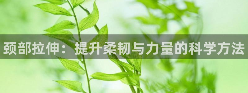 米兰体育最新版下载：颈部拉伸：提升柔韧与力量的科学方法