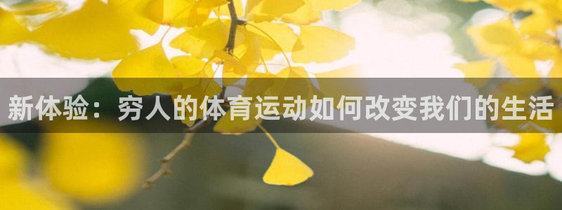 米兰体育最新版下载：新体验：穷人的体育运动如何改变我们的生活