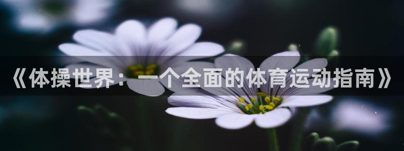 米兰体育怎么样：《体操世界：一个全面的体育运动指南》