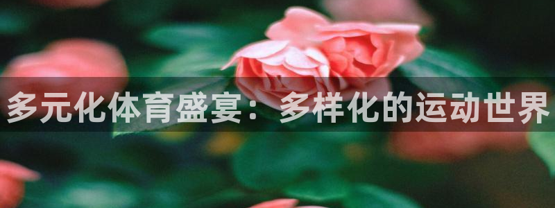 米兰体育下载：多元化体育盛宴：多样化的运动世界