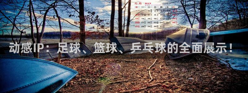 米兰体育下载：动感IP：足球、篮球、乒乓球的全面展示！