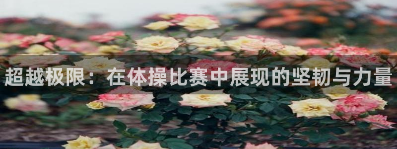 米兰体育最新版下载：超越极限：在体操比赛中展现的坚韧与力量