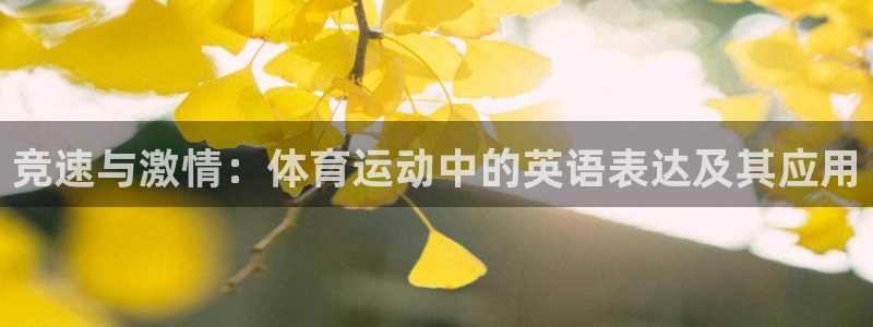 米兰体育网站：竞速与激情：体育运动中的英语表达及其应用