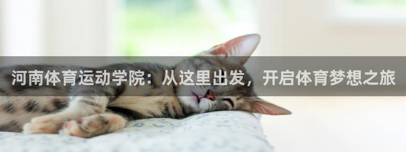 米兰体育入口：河南体育运动学院：从这里出发，开启体育梦想之旅