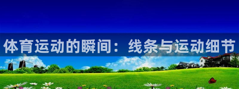 米兰体育怎么样：体育运动的瞬间：线条与运动细节