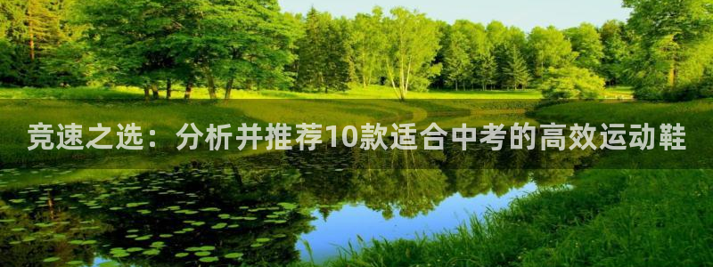米兰体育下载官网最新版：竞速之选：分析并推荐10款适合中考的高效运动鞋