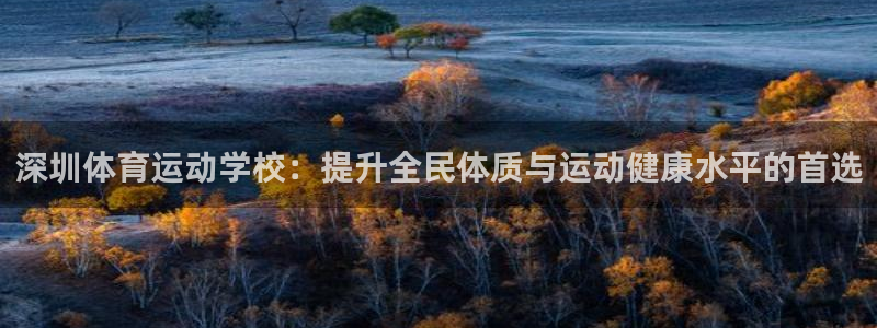 米兰体育怎么样：深圳体育运动学校：提升全民体质与运动健康水平的首选