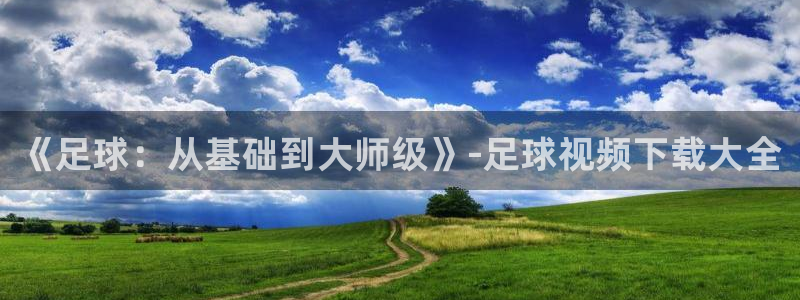 米兰体育：《足球：从基础到大师级》-足球视频下载大全