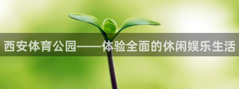 米兰体育网页版：西安体育公园——体验全面的休闲娱乐生活