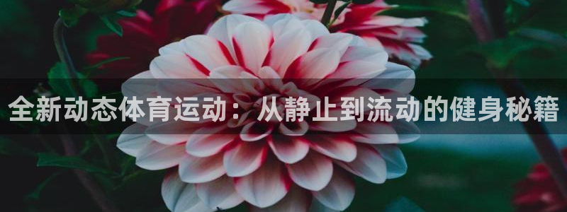 米兰体育登录：全新动态体育运动：从静止到流动的健身秘籍