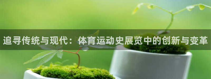 米兰体育网页版登录：追寻传统与现代：体育运动史展览中的创新与变革