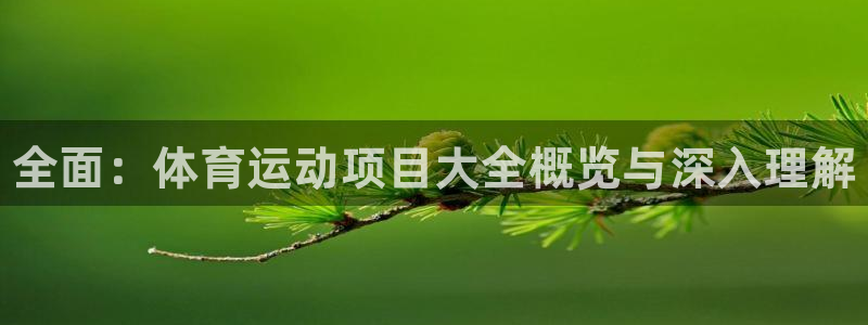 米兰体育报官网：全面：体育运动项目大全概览与深入理解