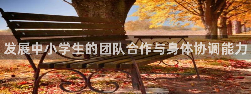 米兰体育最新版下载：发展中小学生的团队合作与身体协调能力