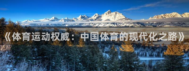 米兰体育网站：《体育运动权威：中国体育的现代化之路》