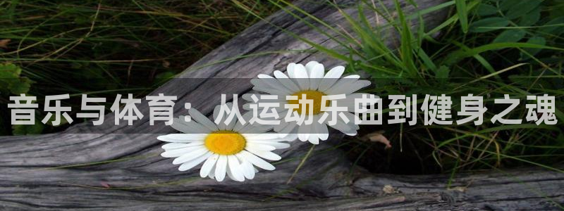 米兰体育官网：音乐与体育：从运动乐曲到健身之魂