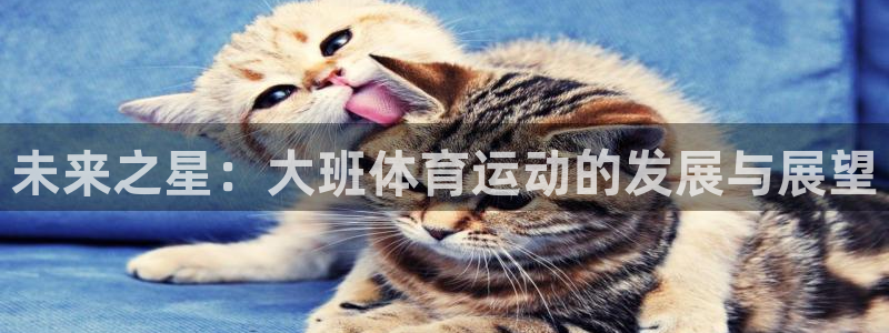 米兰体育综合官网：未来之星：大班体育运动的发展与展望